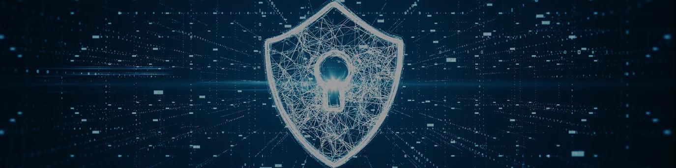 Wish Geeks Techserve website development company in noida