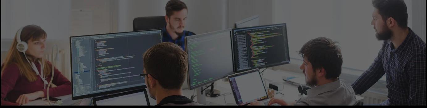 Wish Geeks Techserve website development company in noida