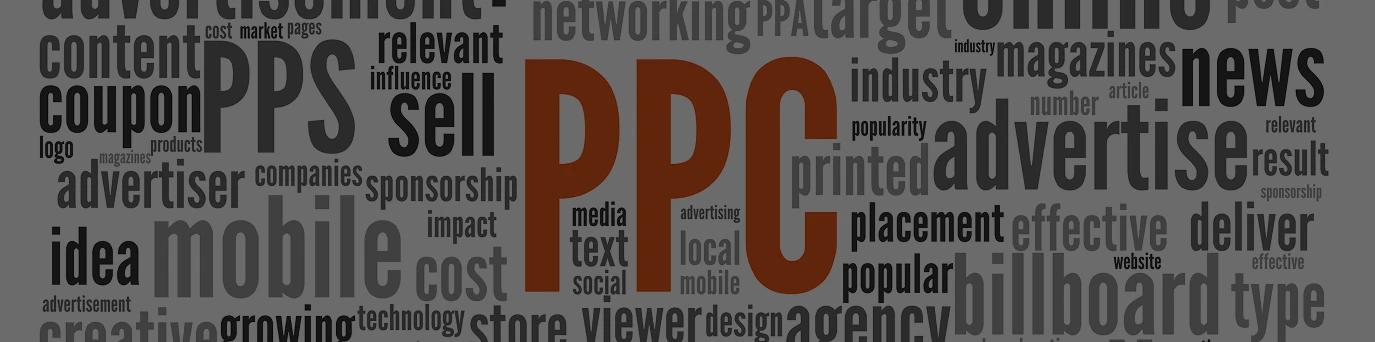 Wish Geeks Techserve website development company in noida