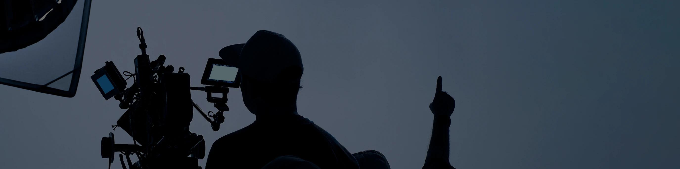 Wish Geeks Techserve website development company in noida