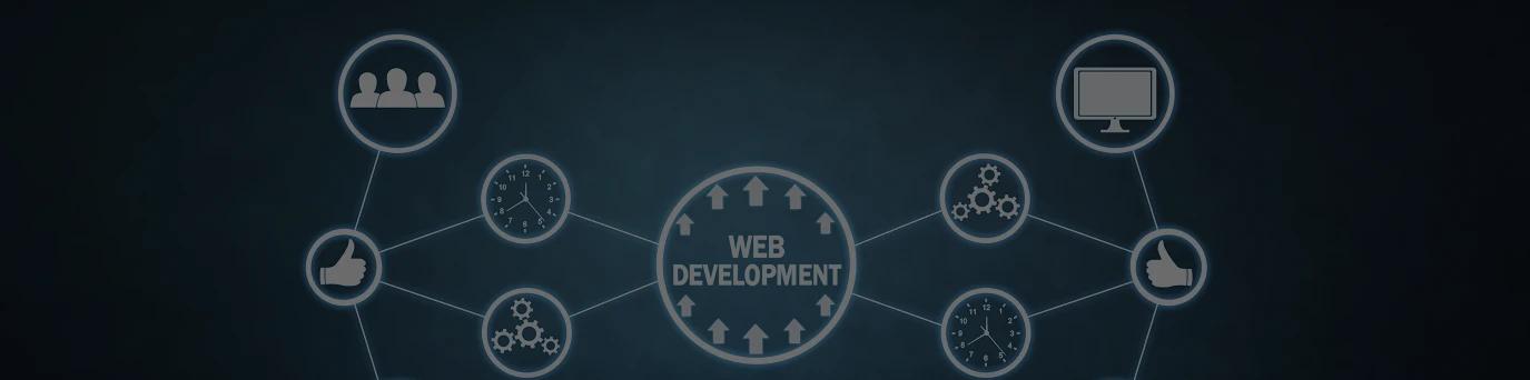 Wish Geeks Techserve website development company in noida